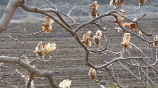 모니카님의 기타작물 · 영농일지 작성글 사진