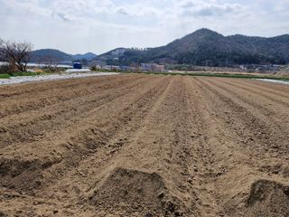 해촌(서정술)50님의 기타작물 · 영농일지 작성글 사진