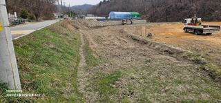 초보농부님의 기타작물 · 영농일지 작성글 사진