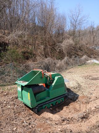 김성구님의 기타작물 · 영농일지 작성글 사진