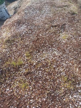 무료지식나눔 팜닥터님의 기타작물 · 영농일지 작성글 사진