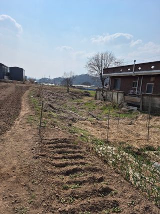 농부님.모두.모두힘님의 기타작물 · 영농일지 작성글 사진