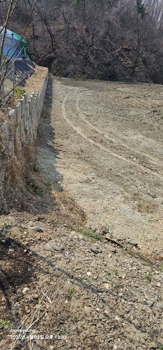 초보농부님의 기타작물 · 영농일지 작성글 사진
