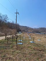 팜모닝 기타작물·영농일지 게시글 이미지