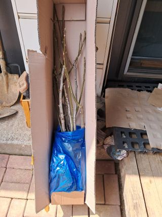 혜공 도봉현님의 기타작물 · 영농일지 작성글 사진