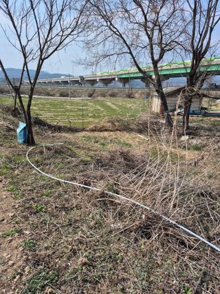 농부님.모두.모두힘님의 기타작물 · 영농일지 작성글 사진