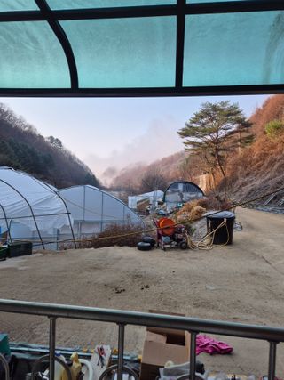 왕자농원님의 기타작물 · 영농일지 작성글 사진