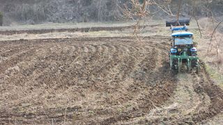 모니카님의 기타작물 · 영농일지 작성글 사진
