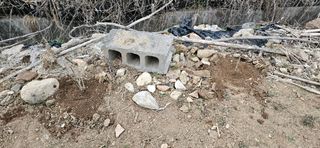 귀농인님의 기타작물 · 영농일지 작성글 사진