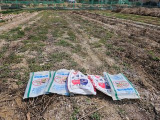 경달현님의 고추 · 영농일지 작성글 사진