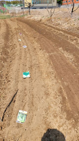 김영규님의 기타작물 · 영농일지 작성글 사진