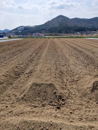 해촌(서정술)50님의 기타작물 · 영농일지 작성글 사진