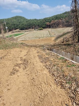 김원준님의 기타작물 · 영농일지 작성글 사진