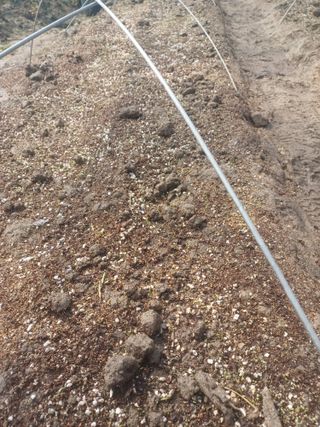 무료지식나눔 팜닥터님의 기타작물 · 영농일지 작성글 사진