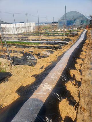 현모양처(양현모)님의 기타작물 · 영농일지 작성글 사진