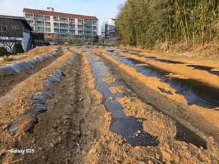 표고버섯16097님의 기타작물 · 영농일지 작성글 사진