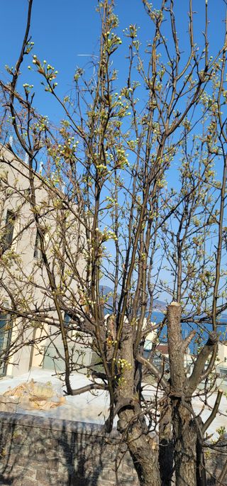 박종화님의 기타작물 · 영농일지 작성글 사진