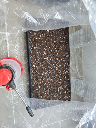 심기정님의 기타작물 · 영농일지 작성글 사진