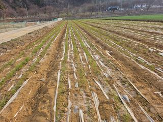 함영동님의 기타작물 · 영농일지 작성글 사진