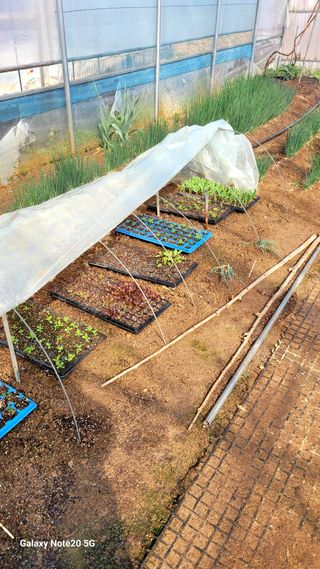 제주농부님의 참깨 · 영농일지 작성글 사진