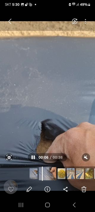 박사원농장님의 기타작물 · 영농일지 작성글 사진