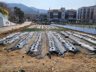 세민님의 기타작물 · 영농일지 작성글 사진