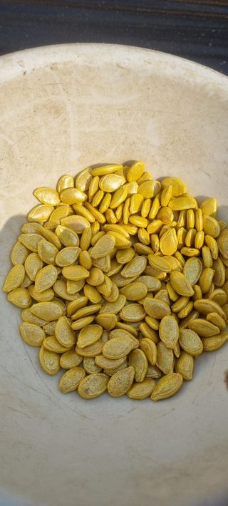 박사원농장님의 기타작물 · 영농일지 작성글 사진