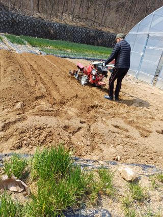 삼성농산님의 기타작물 · 영농일지 작성글 사진