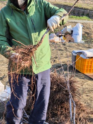 바람소리님의 기타작물 · 영농일지 작성글 사진