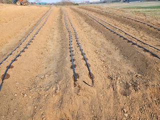 김균율님의 기타작물 · 영농일지 작성글 사진