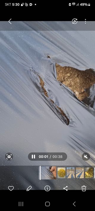 박사원농장님의 기타작물 · 영농일지 작성글 사진
