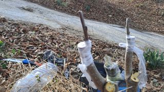 월굴리이승재님의 기타작물 · 영농일지 작성글 사진