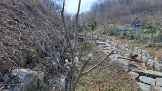 월굴리이승재님의 기타작물 · 영농일지 작성글 사진