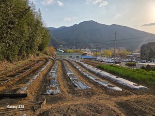 표고버섯16097님의 기타작물 · 영농일지 작성글 사진