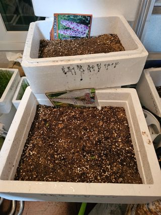 주현님의 기타작물 · 영농일지 작성글 사진