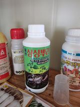 팜모닝 블루베리·영농일지 게시글 이미지