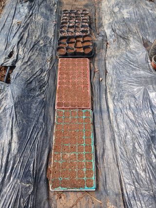 안승호님의 기타작물 · 영농일지 작성글 사진