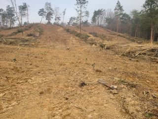 표고버섯10229님의 버섯 · 영농일지 작성글 사진