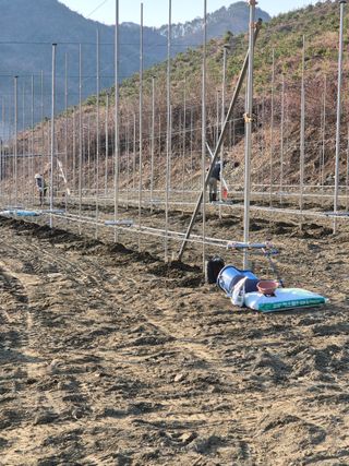 바람소리님의 기타작물 · 영농일지 작성글 사진
