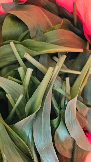 산그린약초농원님의 기타작물 · 영농일지 작성글 사진