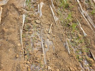 함영동님의 기타작물 · 영농일지 작성글 사진