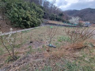 새싹님의 기타작물 · 영농일지 작성글 사진