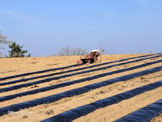 귤21628님의 기타작물 · 영농일지 작성글 사진
