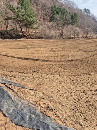 왕자농원님의 기타작물 · 영농일지 작성글 사진