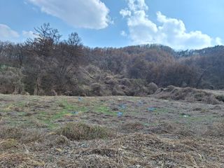 창열님의 기타작물 · 영농일지 작성글 사진