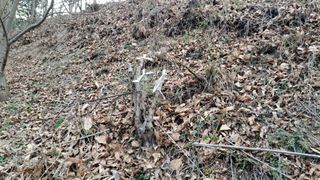 월굴리이승재님의 기타작물 · 영농일지 작성글 사진