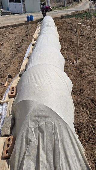 김흥환 님의 기타작물 · 영농일지 작성글 사진