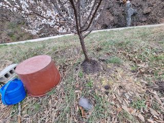 새싹님의 기타작물 · 영농일지 작성글 사진