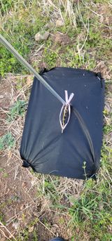 팜모닝 기타작물·영농일지 게시글 이미지