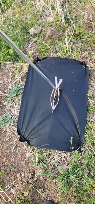 박종화님의 기타작물 · 영농일지 작성글 사진